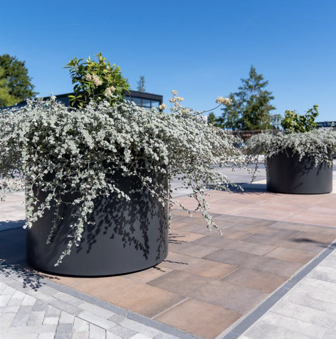 Adezz Garden Products discount, GetQuotenow Contemporary Planters