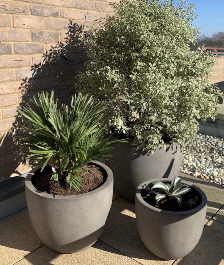 Round Fibreglass Planters Contemporary Planters