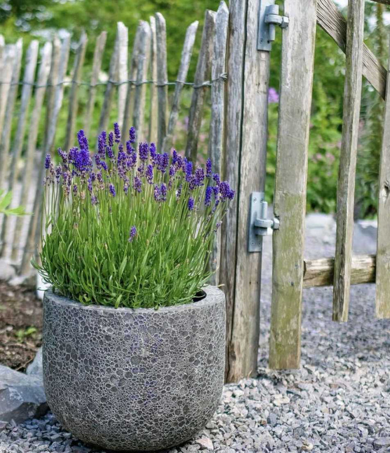Round U Planter Contemporary Planters