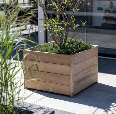 Adezz Hardwood Planter Carrez Contemporary Planters