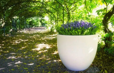 Curved Fibreglass Planter Contemporary Planters