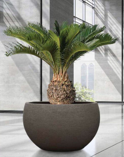 Extra Large Round Fibreglass Planter Contemporary Planters